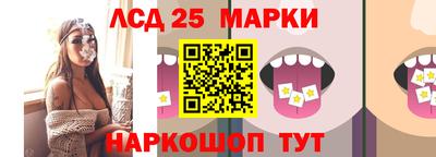 прущие грибы Брянск