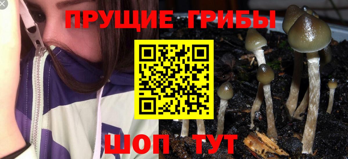 Галлюциногенные грибы мицелий Дзержинск